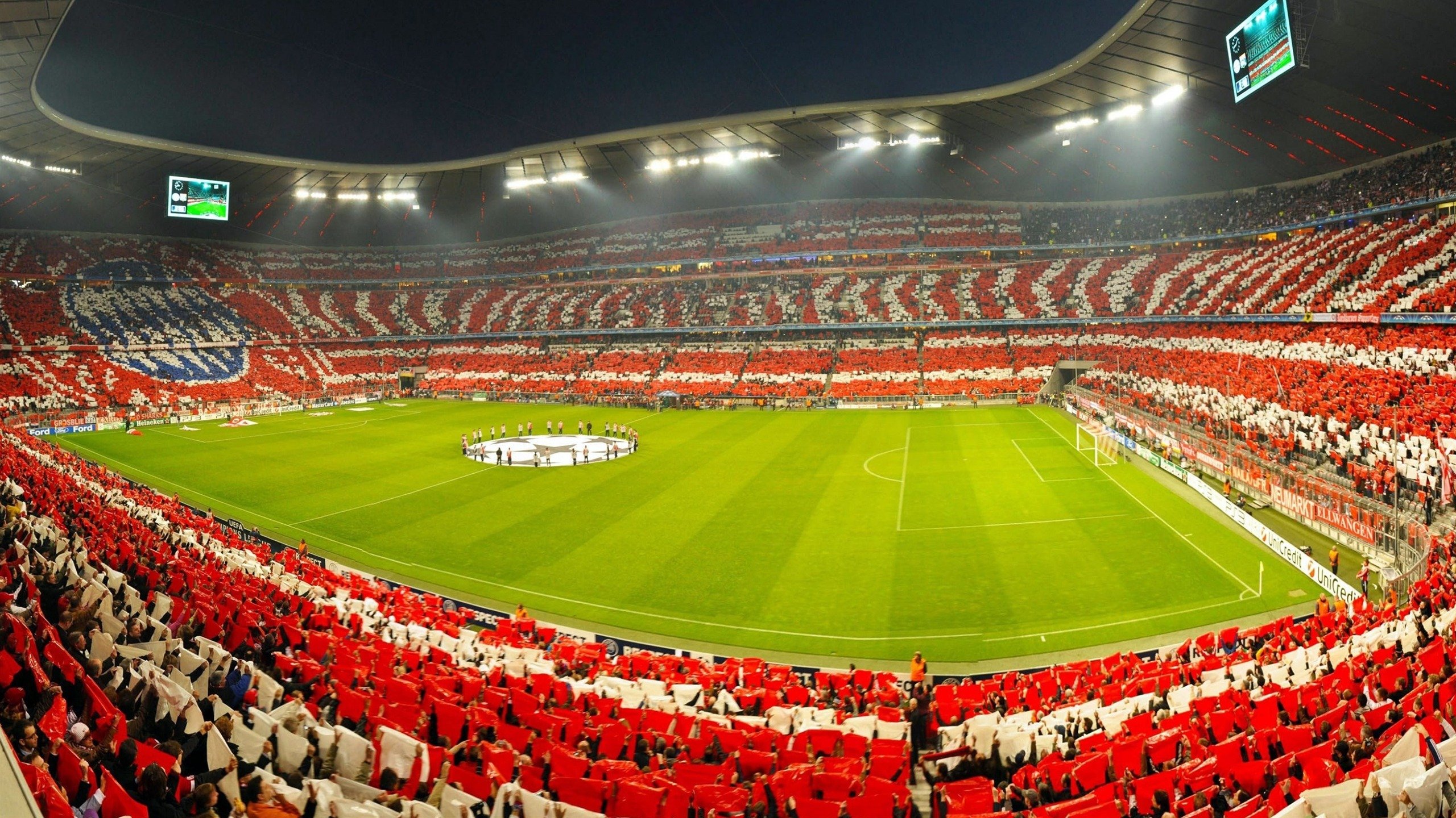 达米恩·麦肯齐：全黑队进攻的灵魂人物，精确传球和灵活跑位让全队受益